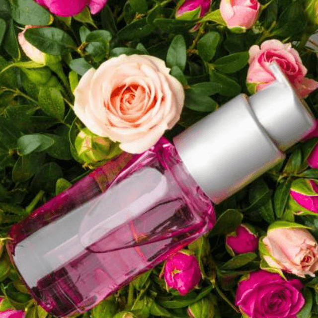 Impression Of Versace Eros Pour Femme