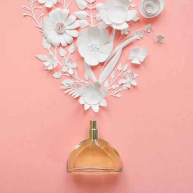 Blossom